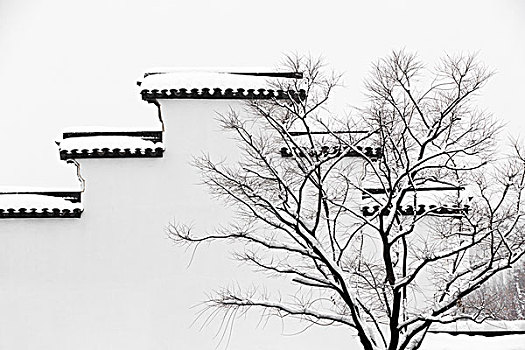 南京請(qǐng)一個(gè)月嫂多少錢？全面解析月嫂服務(wù)的費(fèi)用與選擇